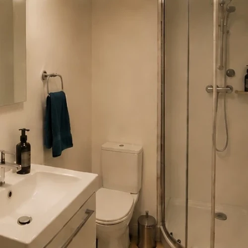 Chambre en colocation à Paris 1er | Châtelet 
