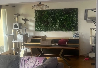 Chambre meublée à louer