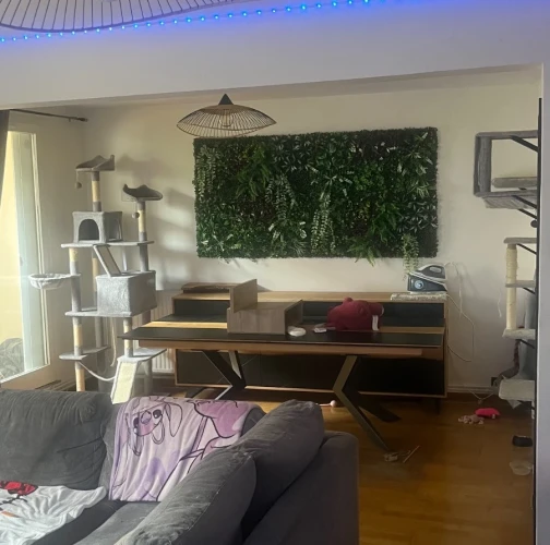 Furnished room for rent