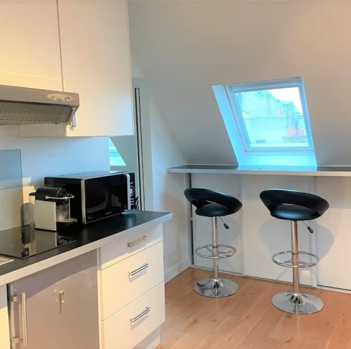 Propose très beau t2 47m2 entier à paris 1er 